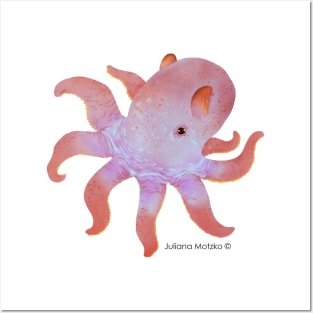 Dumbo Octopus Posters and Art